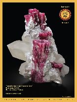 The-Mineralogical-Record-Stonetrust_Vol42No3.jpg